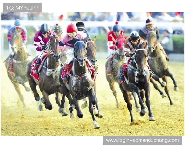 深入澳门赛马咨询，掌握赛马赛事走势与投注风险控制技巧