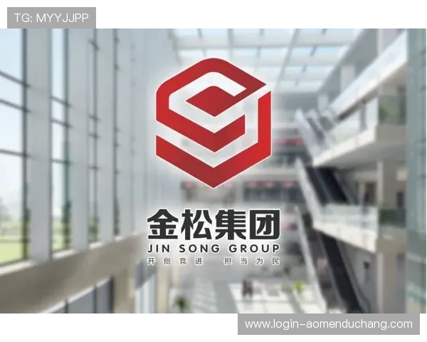 汇彩控股有限公司的财务表现与投资价值分析报告